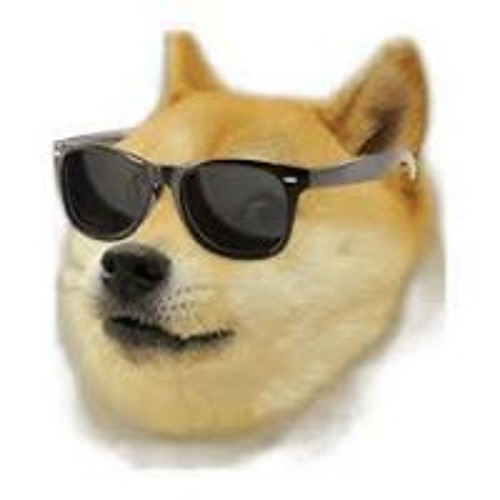 chatdoge